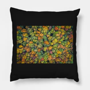 Aerial view of color autumn forest Pillow