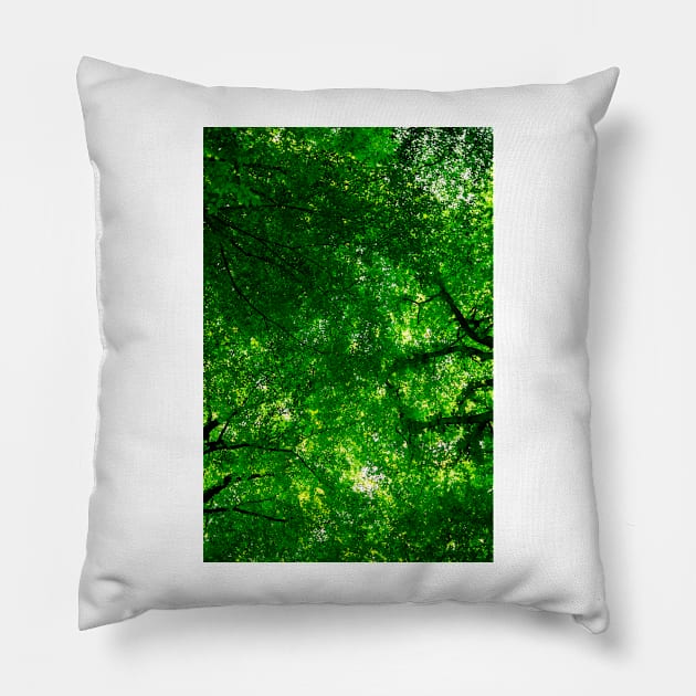 Canopy of Leaves Pillow by arc1