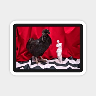 Rooster in the red room Magnet