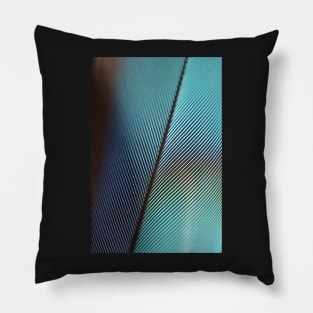 Feather Abstract Pillow