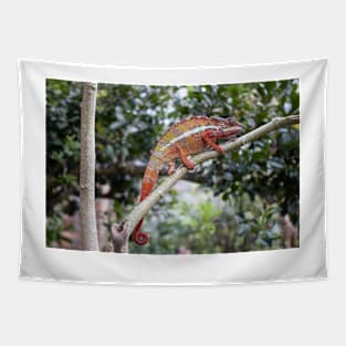 Panther chameleon, Madagascar Tapestry