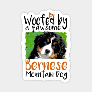 Bernese Mountain Dog Face Magnet