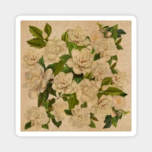 Sixteen Gardenias (Cretonne Edition) Magnet