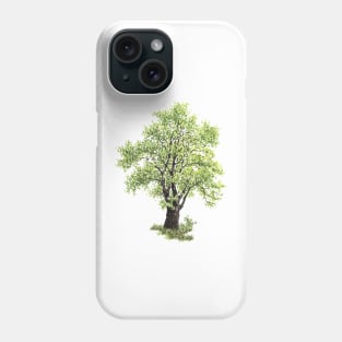 April birthday elm tree Phone Case