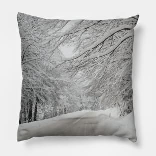 winter time Pillow