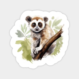 Slow Loris Magnet