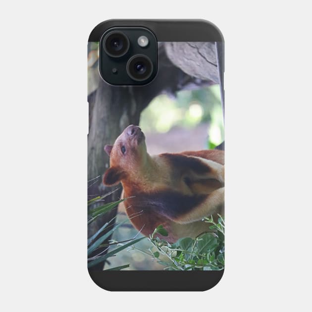 Goodfellow's Tree Kangaroo Phone Case by LeanneAllen