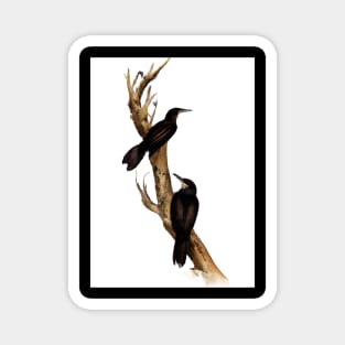 Birds on a Branch Magnet