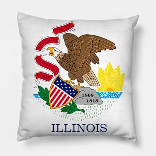 Illinois Flag Pillow