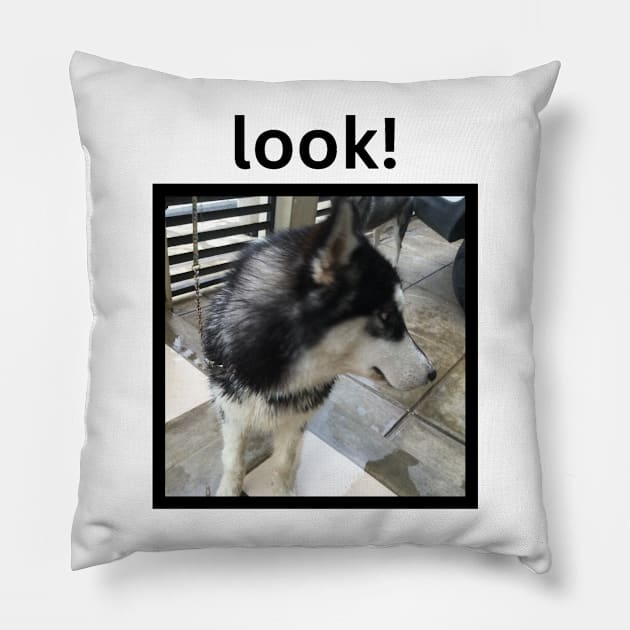 Cute Black Husky Dog Looking Away Simple Design Pillow by efgio