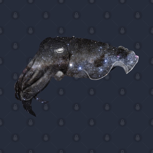 Galaxy Cuttlefish by Kristal Stittle