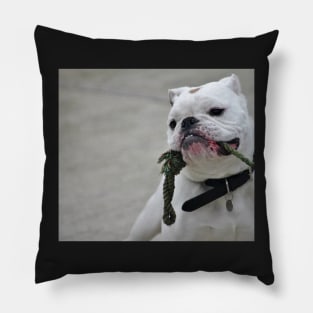 Brando Pillow