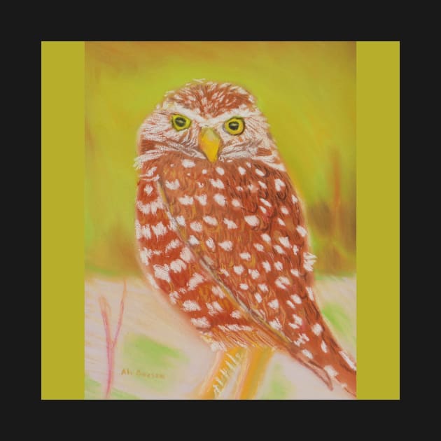 Bright Eyed Burrowing Owl by Ali Cat Originals