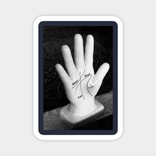 Palmistry Magnet