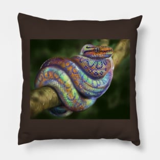 Rainbow Boa Rainboa Epicrates Cenchria Pillow