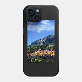 Flatirons and Flowers Phone Case