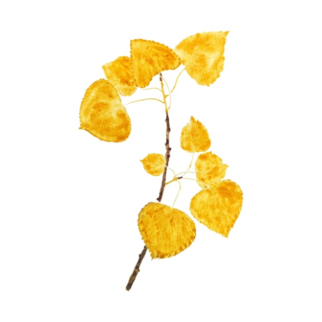 bright yellow birch leaves branch by colorandcolor