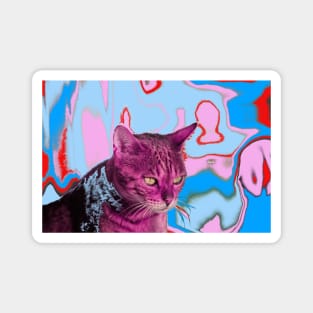 Cat LSD Magnet