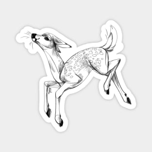 Fawn sketch Magnet