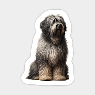 Bergamasco Sheepdog Magnet