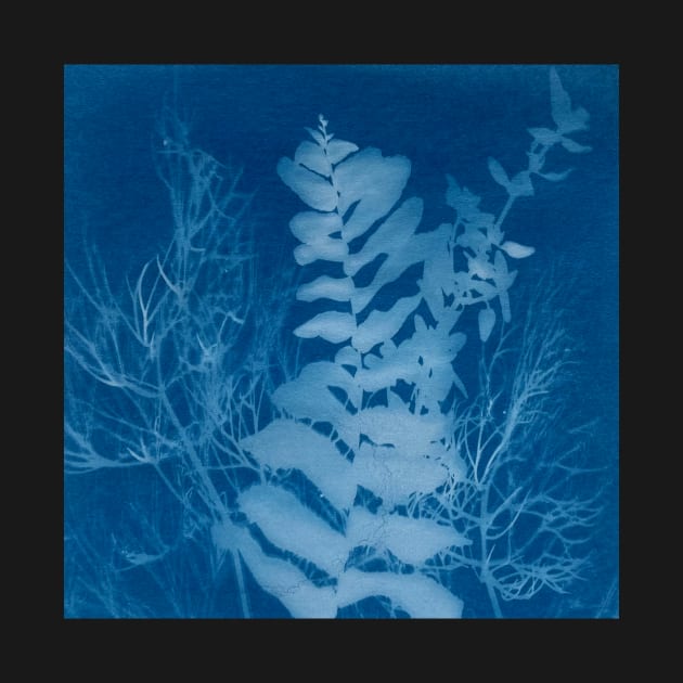 Blue Cyanotype Fern & Herbs Sun Print by softbluehum