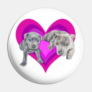 Gorgeous Staffy pups on an eyecatching rainbow heart! Pin