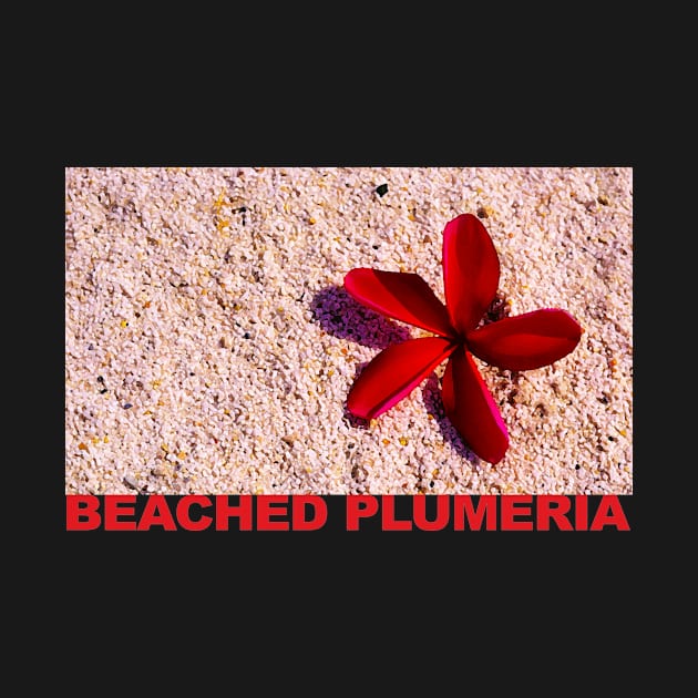 Beached Plumeria by Verl