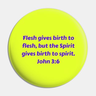 Bible Verse John 3:6 Pin