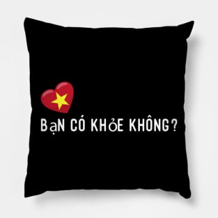 Vietnamese Bạn có khỏe không? Pillow