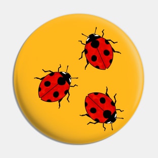 Ladybugs Pin