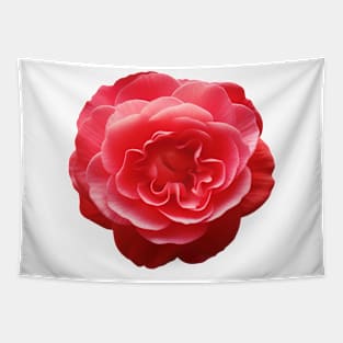 Red Camellia Flower Art Print Tapestry