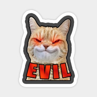 Evil Cat Magnet