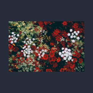 Red and white christmas flowers from above T-Shirt