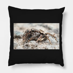 Cute spider Pillow