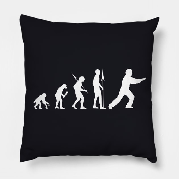 Tai Chi Evolution Pillow by Foxxy Merch