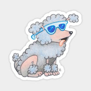 Cool Poodle - Cartoon Dog Wearing Sunglasses Magnet