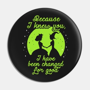 Because I Knew You...Wicked. Pin