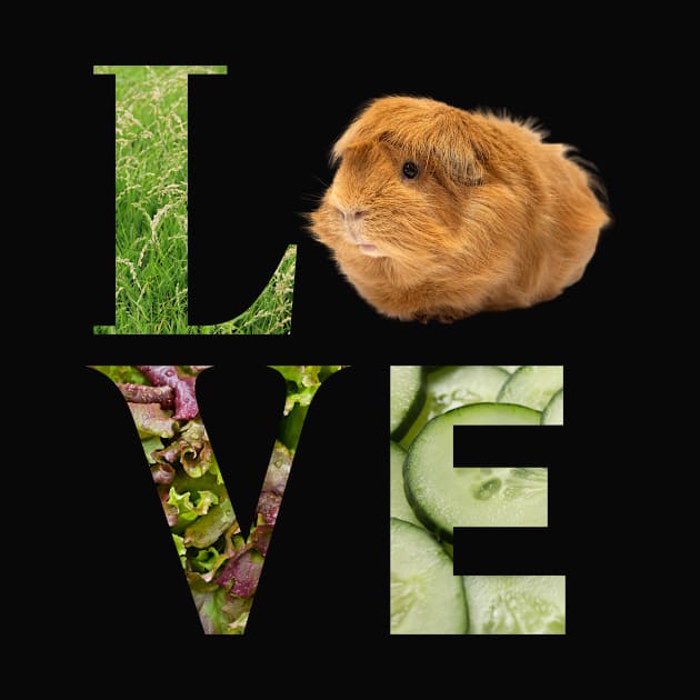 LOVE Guinea Pig by RetStuff