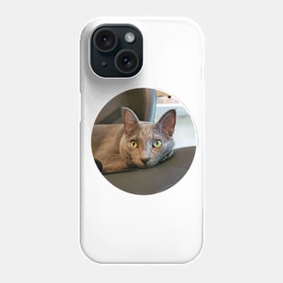 Mace the Streamer Cat Phone Case