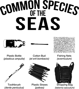 Stop Plastic Pollution Common Species of The Seas Magnet