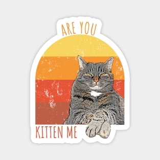 Are You Kitten Me Magnet