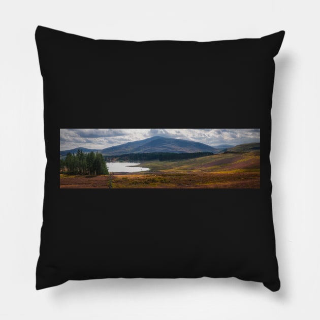 Panorama of Glen Isla in the Angus Glens in of Scotland Pillow by Dolfilms