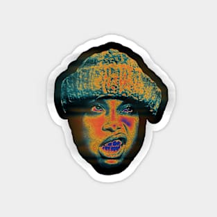 ERYKAH SOUL SONAR Magnet