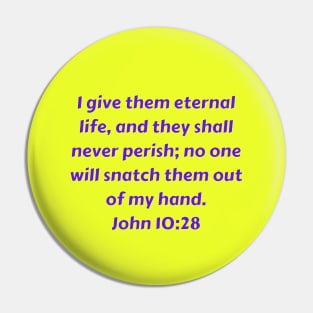 Bible Verse John 10:28 Pin