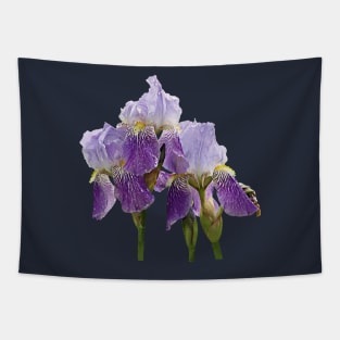 Irises - Lavender Irises Tapestry