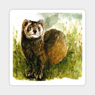 Polecat Magnet