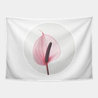 Pink Calla Lily Tapestry