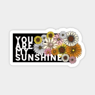 you are my sunshine Magnet