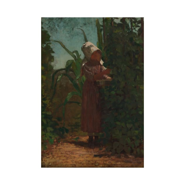 The Bean Picker by Winslow Homer by Classic Art Stall