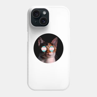 Cute Cat with Glasses Flag Phone Case